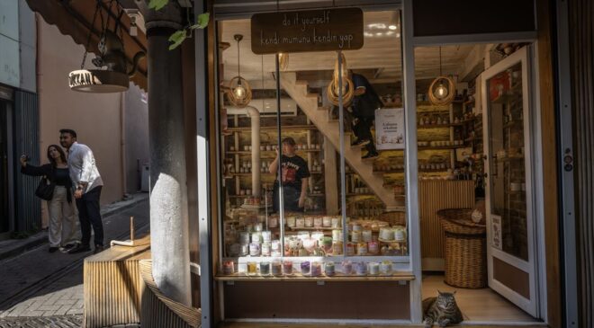 İstanbul’un Sokak Kedileri: Şehrin Kültürel Mirası