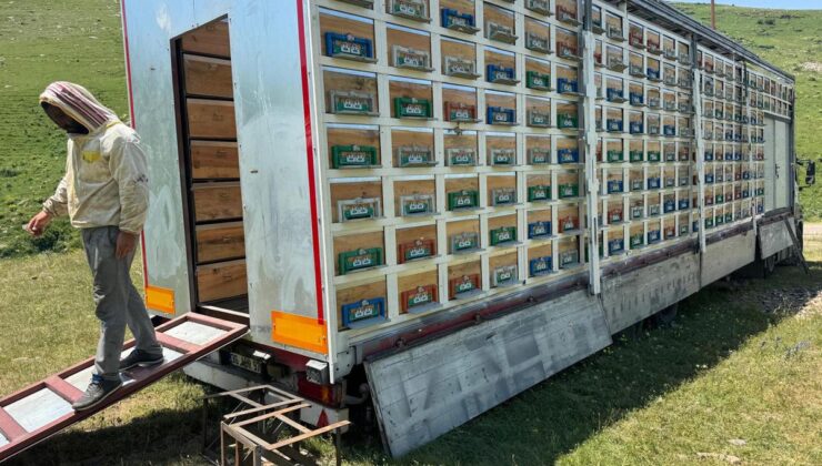 TIR dorsesini ‘mobil bal üretim’ tesisine dönüştürdü