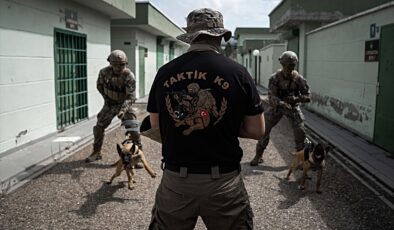 EGM Özel Harekat köpeği Arthur 4. kattan atlayıp şüpheliyi etkisiz hale getirdi