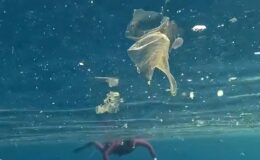 Antalya Kaş’ta Halk Plajı’nda yüzenlerin çevresindeki plastik atıklar dikkat çekti