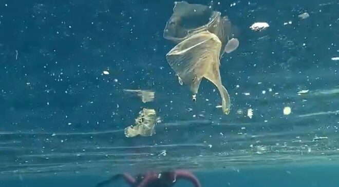 Antalya Kaş’ta Halk Plajı’nda yüzenlerin çevresindeki plastik atıklar dikkat çekti