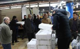 Denize kıyısı olmayan Sivas’tan Ege’ye palamut gidiyor! Tanesi 100 liradan satılıyor