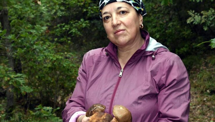 Ormana giren ceplerini dolduruyor! Kilosu 500 TL’den alıcı buluyor