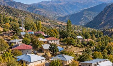 Resmi Gazete’de yayımlandı! Bingöl’deki Hasbağlar köyü, Kiğı ilçesine bağlandı