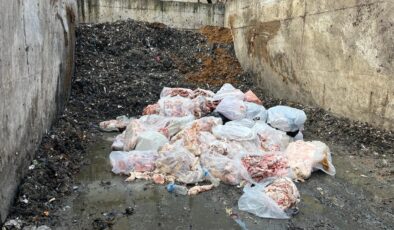 Sakarya Serdivan’da dana sucuğunda domuz eti tespit edildi, 2,6 ton sucuk imha edildi