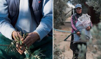 Tarlada 20 lira, markette 350 lira! Zeytin üreticisi fiyatlardan şikayetçi