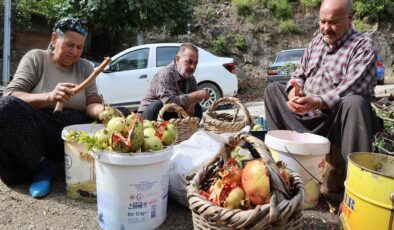 Tek tek ayıklanıyor, tam 1,5 tonundan sadece 60 kilo elde ediliyor: Kilogram fiyatı 750 TL