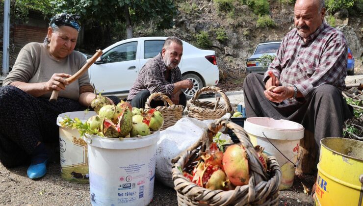 Tek tek ayıklanıyor, tam 1,5 tonundan sadece 60 kilo elde ediliyor: Kilogram fiyatı 750 TL