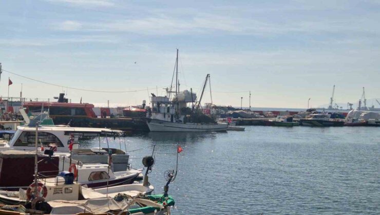Tekirdağlı balıkçılar fırtına hafifleyince palamut avına yeniden döndü
